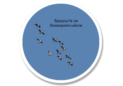 Interactive Picture Book with Integrated Audio in Secwepemctsín